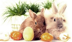 Kaninchen mit Ostereiern